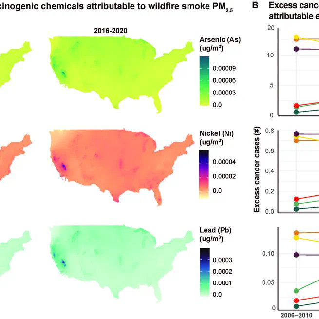 The influence of wildfire smoke on ambient chemical species concentrations in the contiguous US