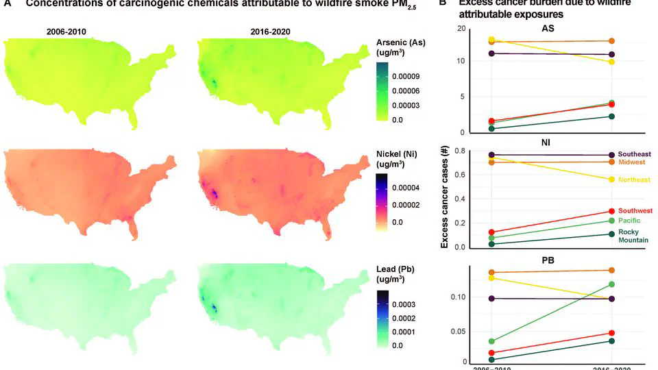 The influence of wildfire smoke on ambient chemical species concentrations in the contiguous US